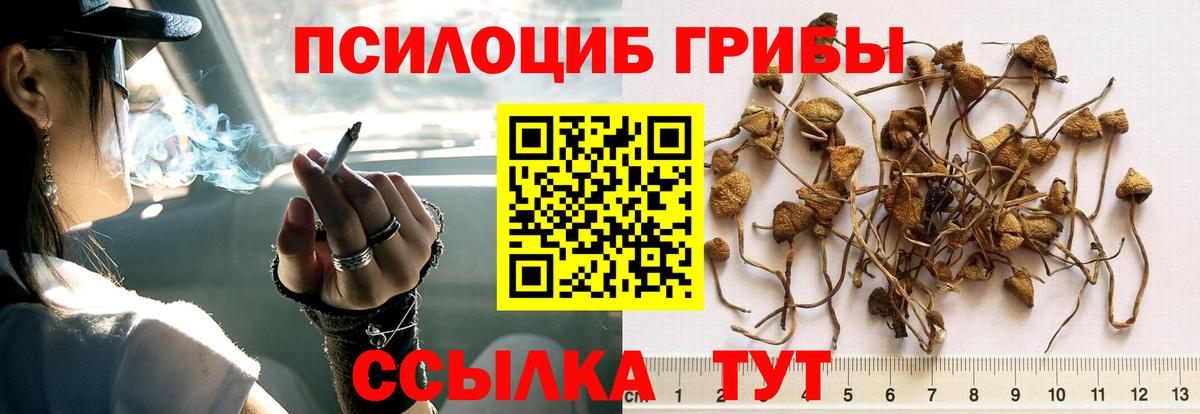 Псилоцибиновые грибы ЛСД  Вход с VPN  Псилоцибиновые грибы Psilocybine cubensis  Наро-Фоминск 
